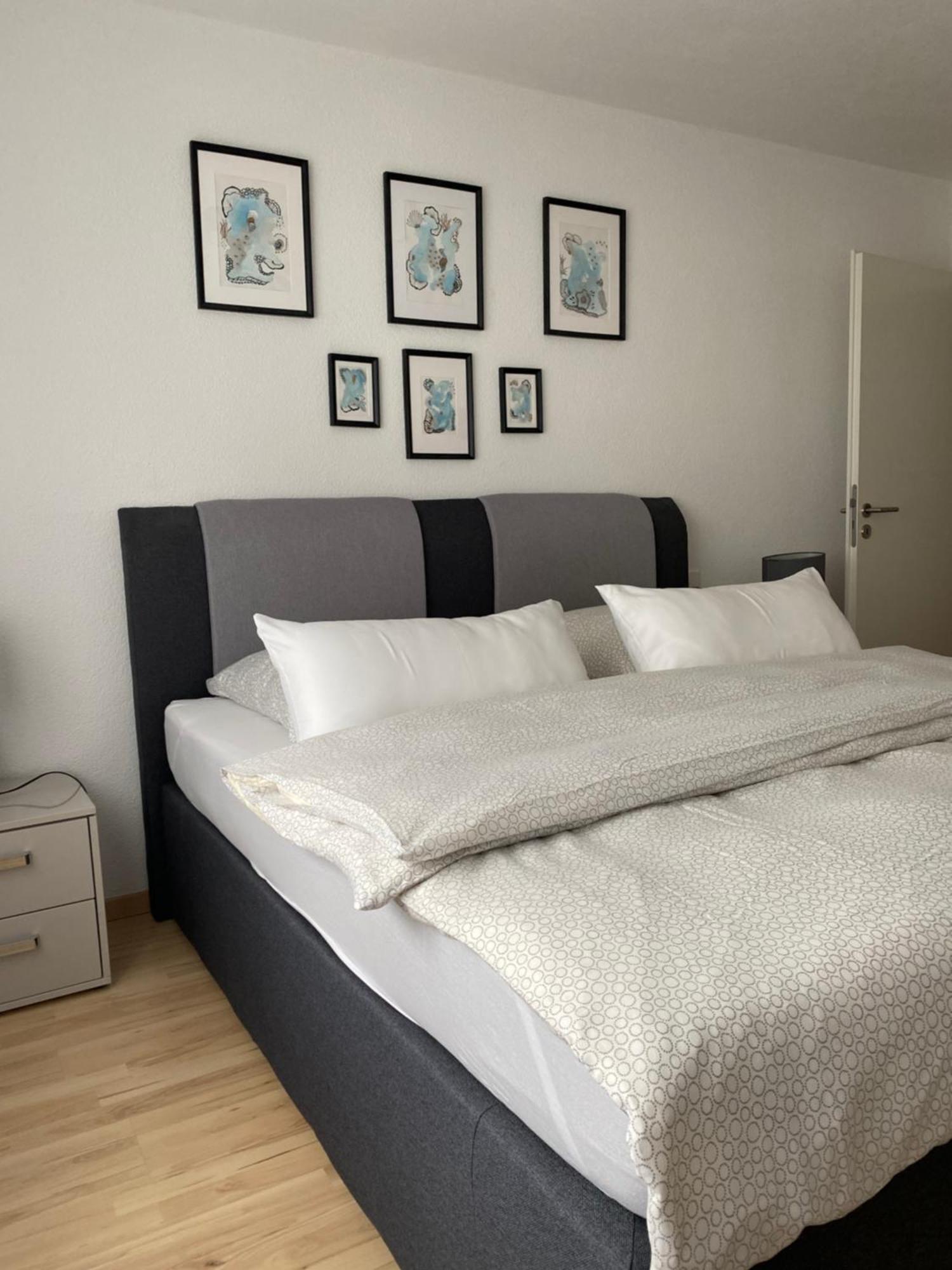 Gemuetliches City Apartment Фридрихсхафен Экстерьер фото
